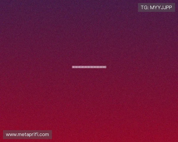 老虎的数码乐园：释放你的好奇心，开启无限可能！